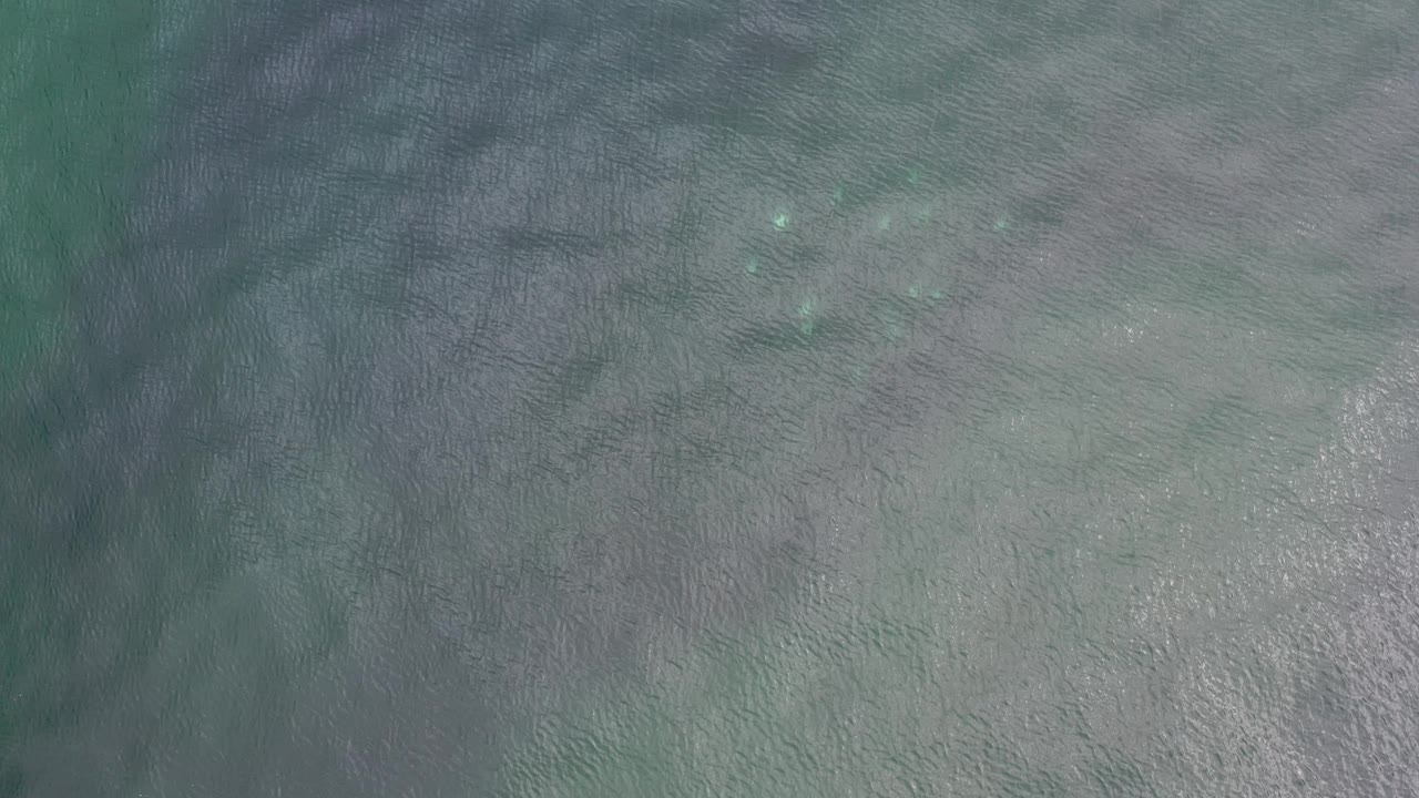 Overhead water surface with mottled green and gray color