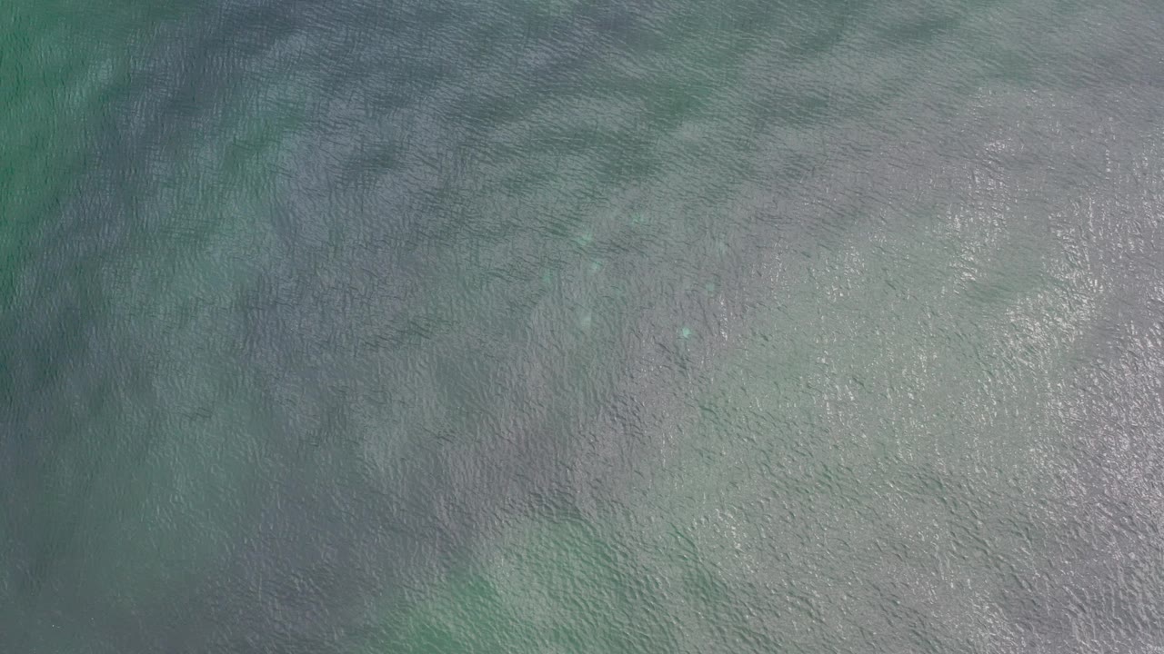 Rippling green-blue ocean surface with faint fish shapes below
