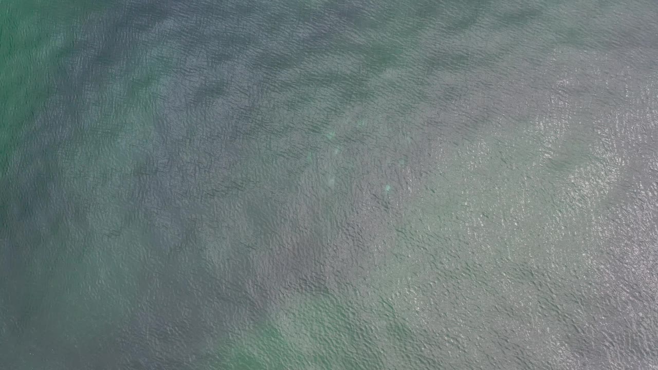 Green and gray rippled water in Los Cabos fills the frame, with small dark fish marks beneath the surface and no visible people.