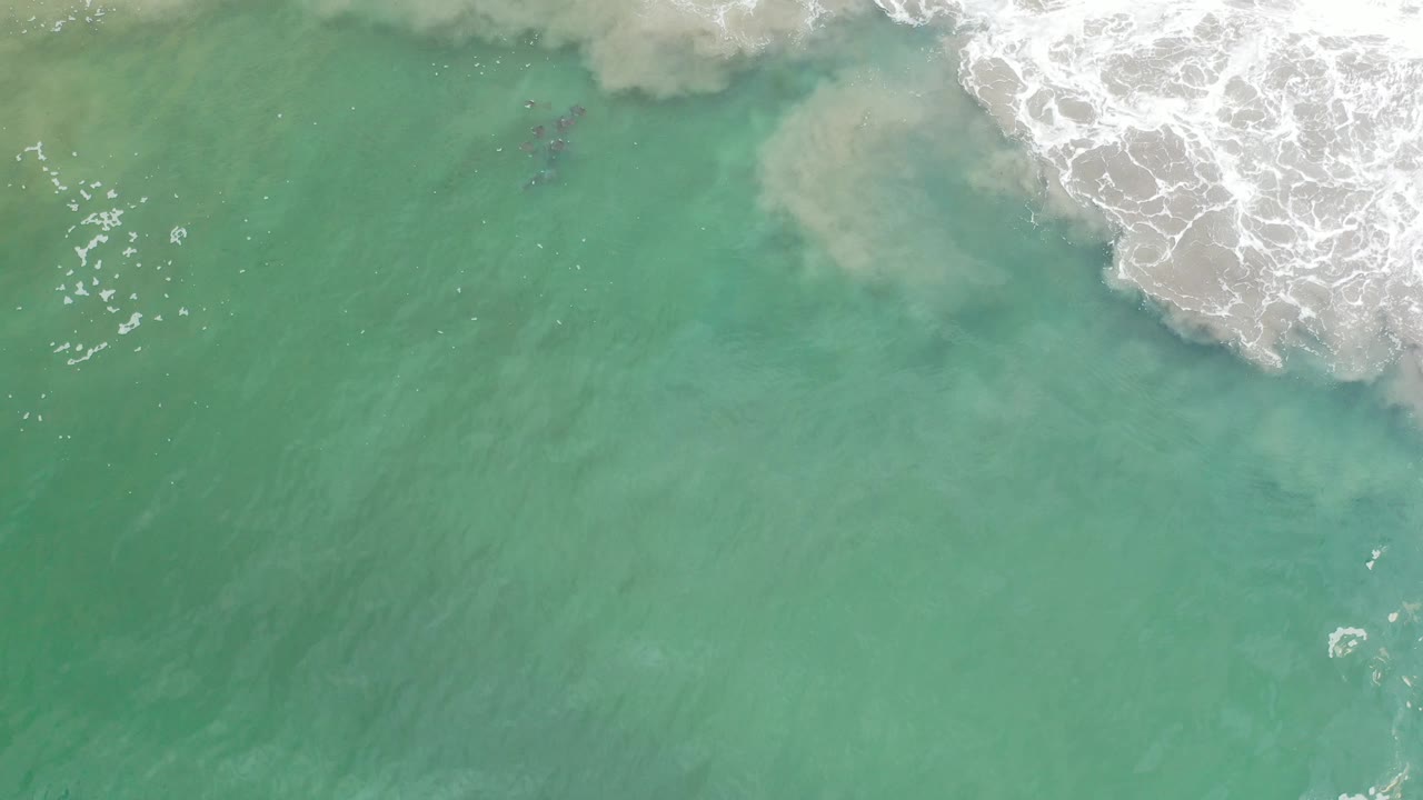 Green ocean surface with white surf breaking across the upper right.