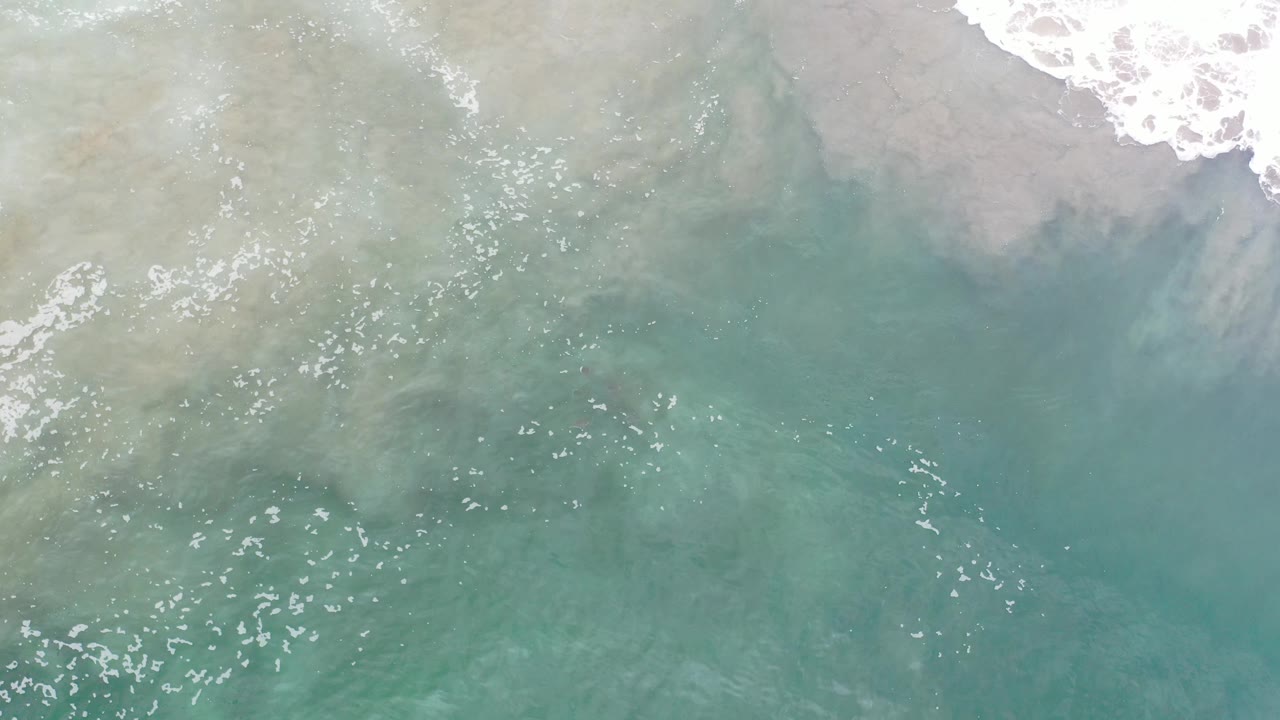Top-down beach water with a soft foam line and turquoise lower frame.