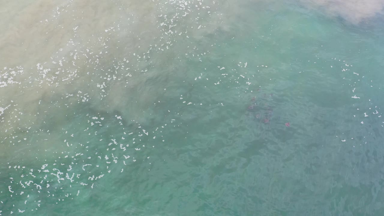 Clear green-blue water spreads across pale sand with brighter foam clusters drifting through the upper-left area in Los Cabos, Mexico, and no visible people.
