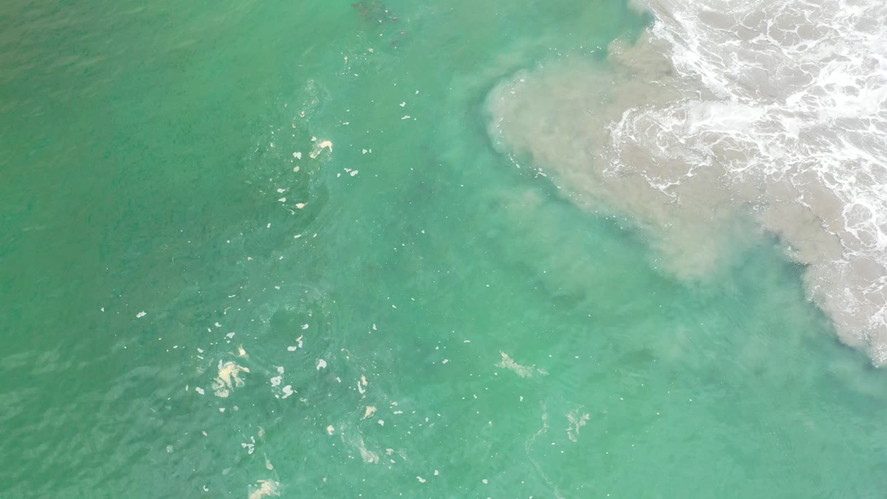 Clear green-blue Los Cabos water seen from above, with tiny dark fish-like shapes near center-left and foamy wave wash at the upper right, no visible people.
