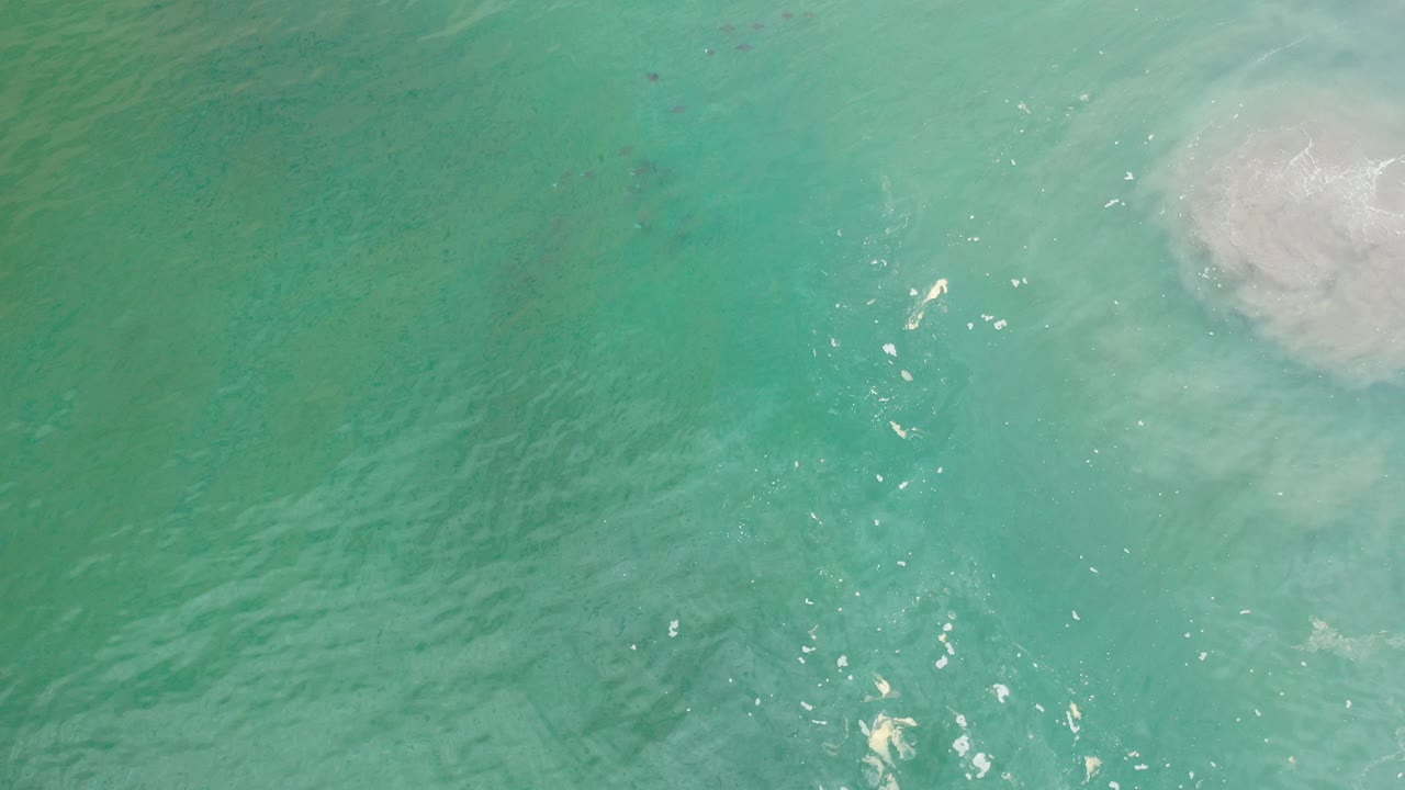 Overhead view of green seawater in Los Cabos, Mexico, with small ripple highlights, faint submerged dark shapes, a pale foamy patch near the upper right, and no visible people.
