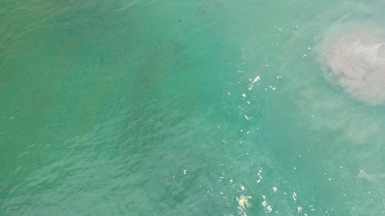 Green seawater fills the Los Cabos frame from above, with clustered white reflections near center left, faint dark shapes below the surface, pale wash at the upper right, and no visible people.