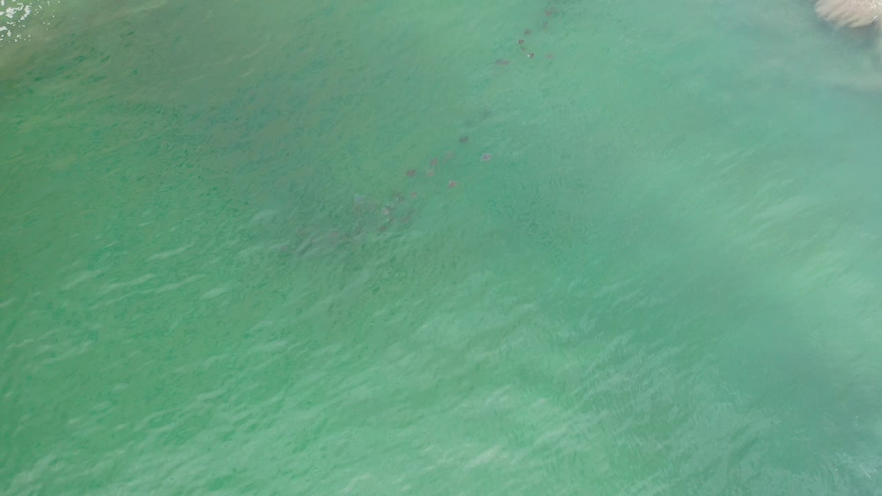 Overhead green seawater with faint wave texture and dark submerged patches.