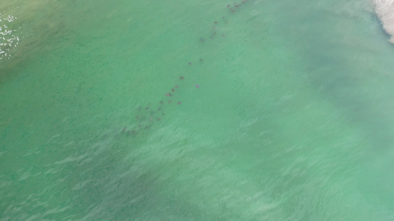 Overhead view of green ocean water in Los Cabos, Mexico, with faint darker underwater or floating marks and a small band of white surf near the top, no visible people.