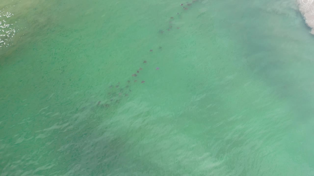 Aerial-style frame of Los Cabos green seawater with pale foam pushing in from the upper edge and scattered darker marks below the surface, no visible people.