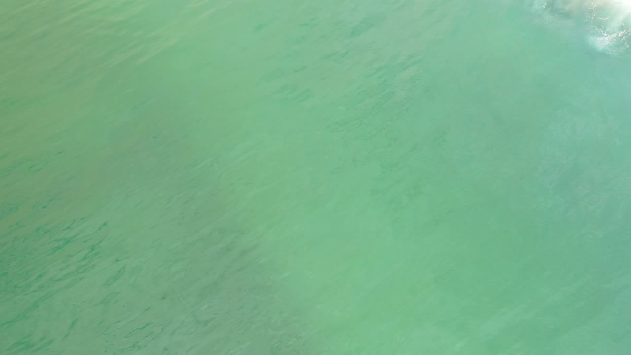 Overhead green sea water with faint darker streaks.