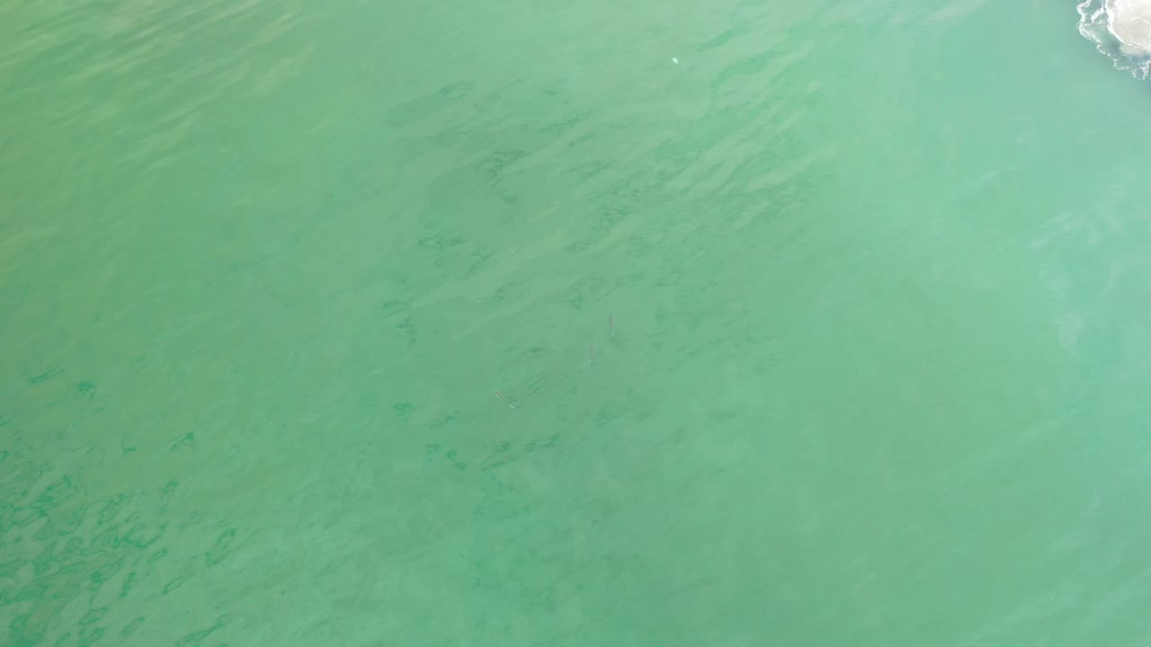 Overhead view of emerald green ocean in Los Cabos, Mexico, with faint underwater streaks and a narrow bit of shore foam at the upper right, no visible people.