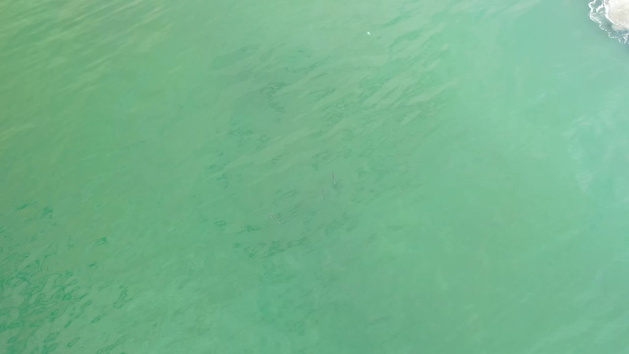 Los Cabos ocean water fills the frame with soft green shimmer, subtle darker lines below the surface, and a thin white surf edge at the upper right, no visible people.