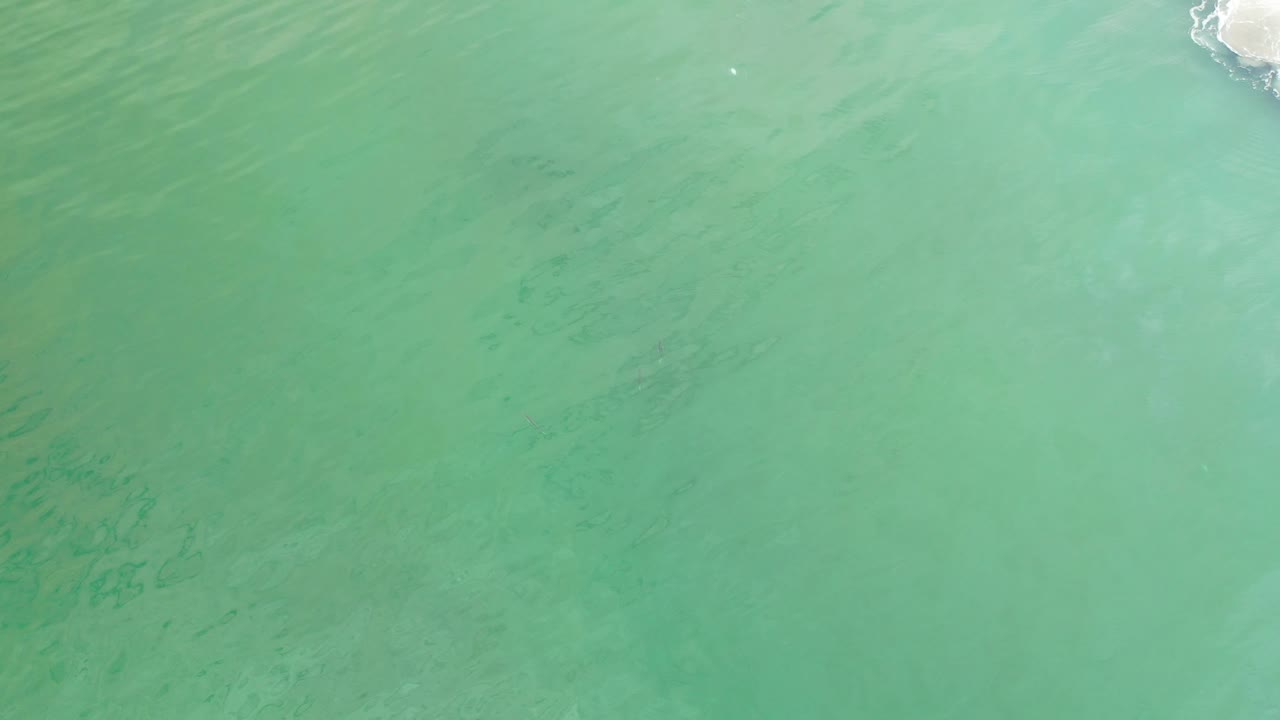 Turquoise green water texture with pale surf just touching the upper right edge.
