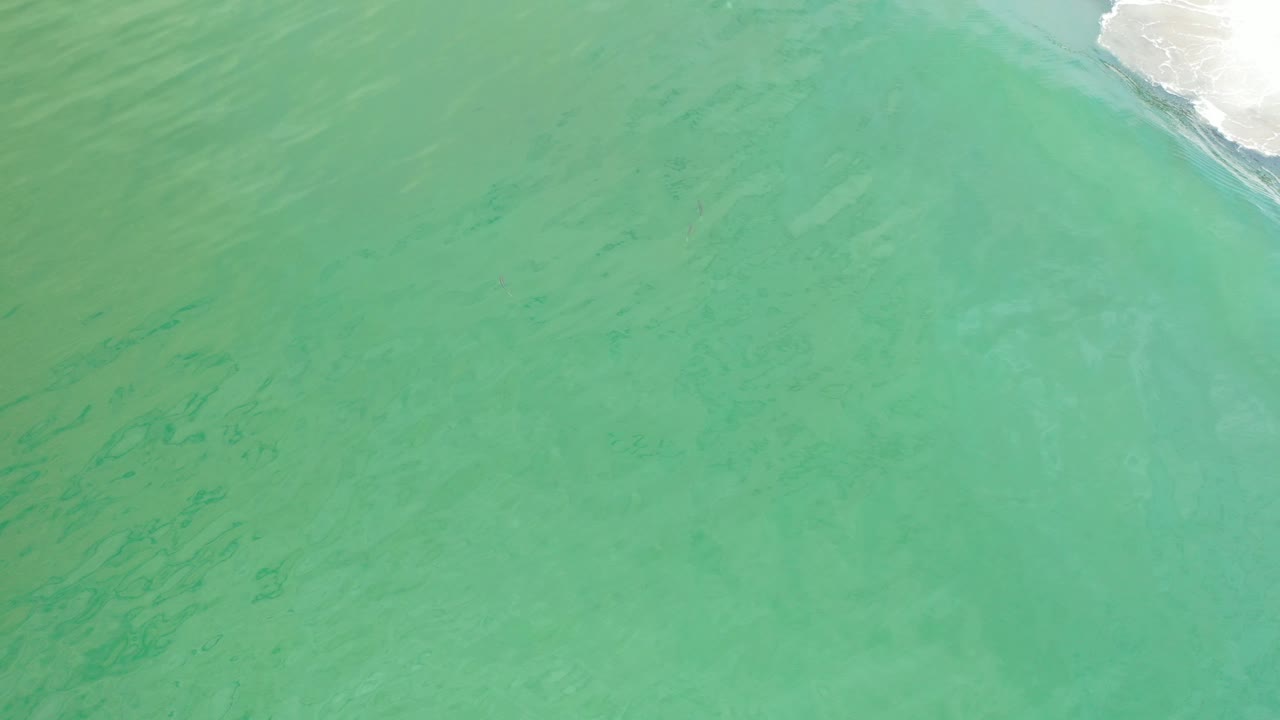 Green shallow ocean water in Los Cabos fills the frame, with a small band of white wave foam at the upper right and no visible people.