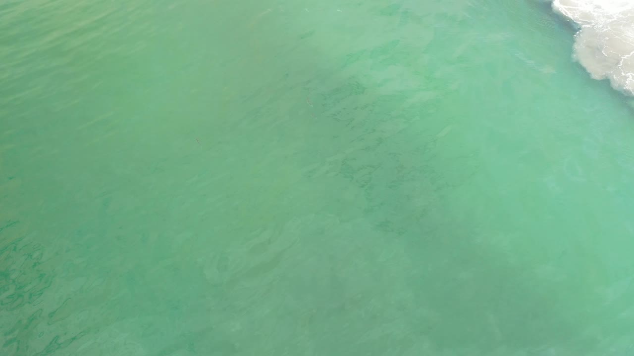 Turquoise water surface with a faint wave line near the top right.