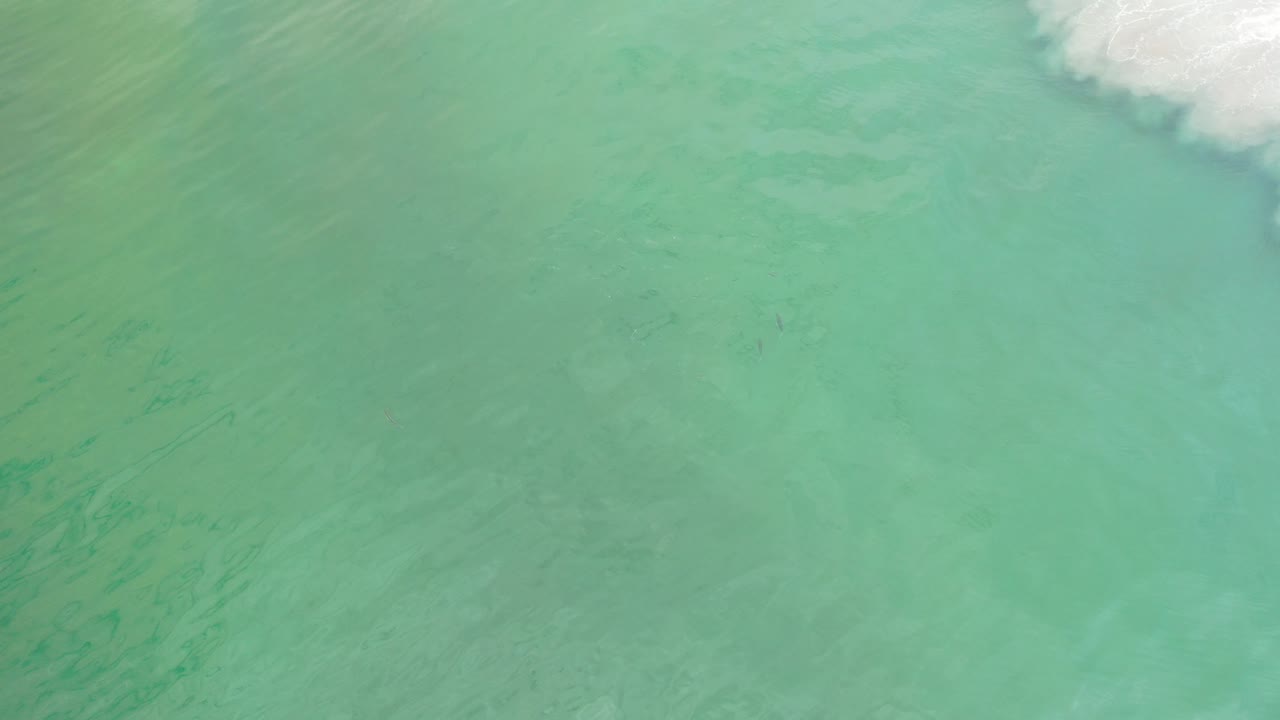 Overhead view of green ocean water in Los Cabos, Mexico, with a small band of white foam near the upper right and no visible people.
