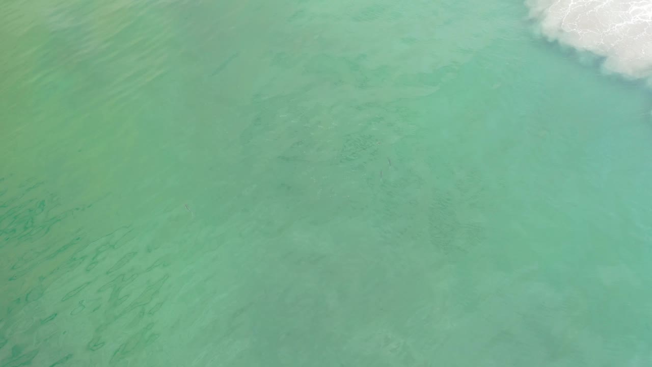 Green surf water with subtle darker streaks below the surface.