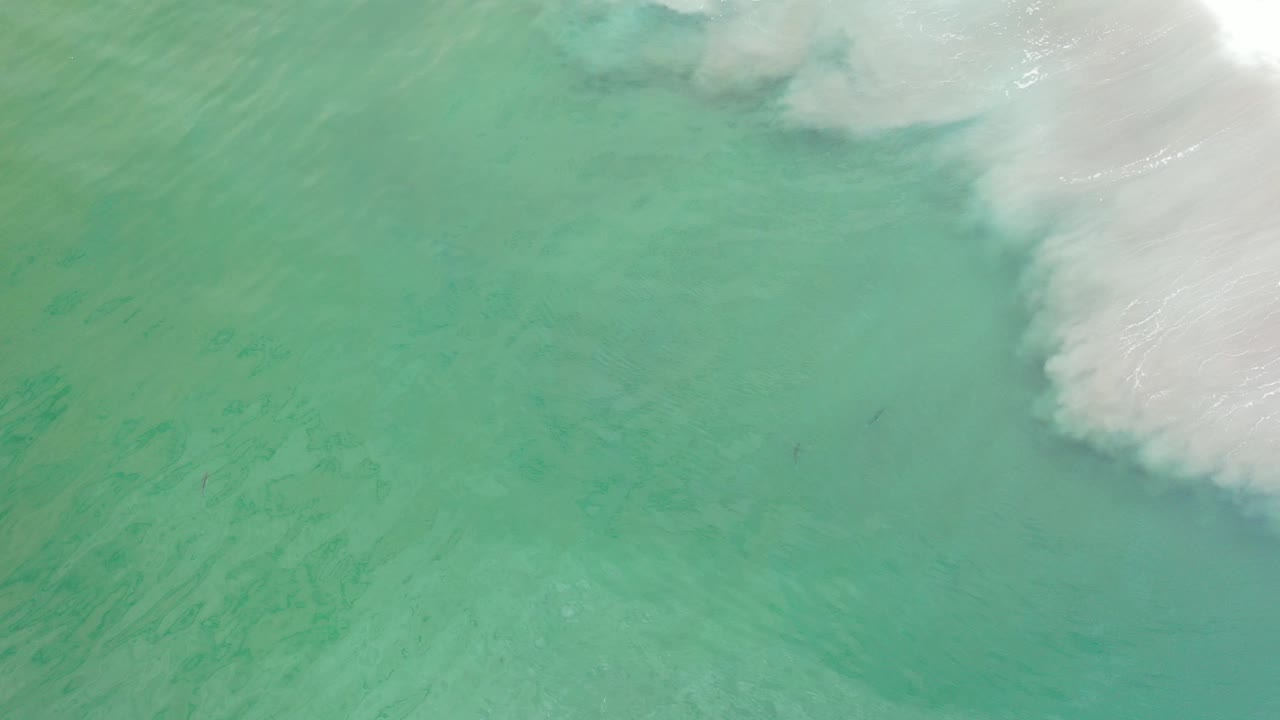 Overhead view of green ocean water in Los Cabos, Mexico, with a pale sand plume and soft white surf entering at the upper right, with no visible people.