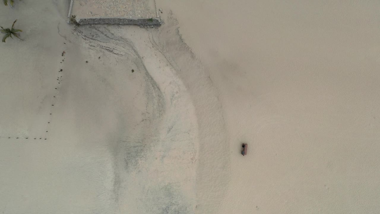 Top-down Los Cabos view with pale sand, shallow water, a partial rectangular beach structure near the top edge, palm tops, and no visible people.