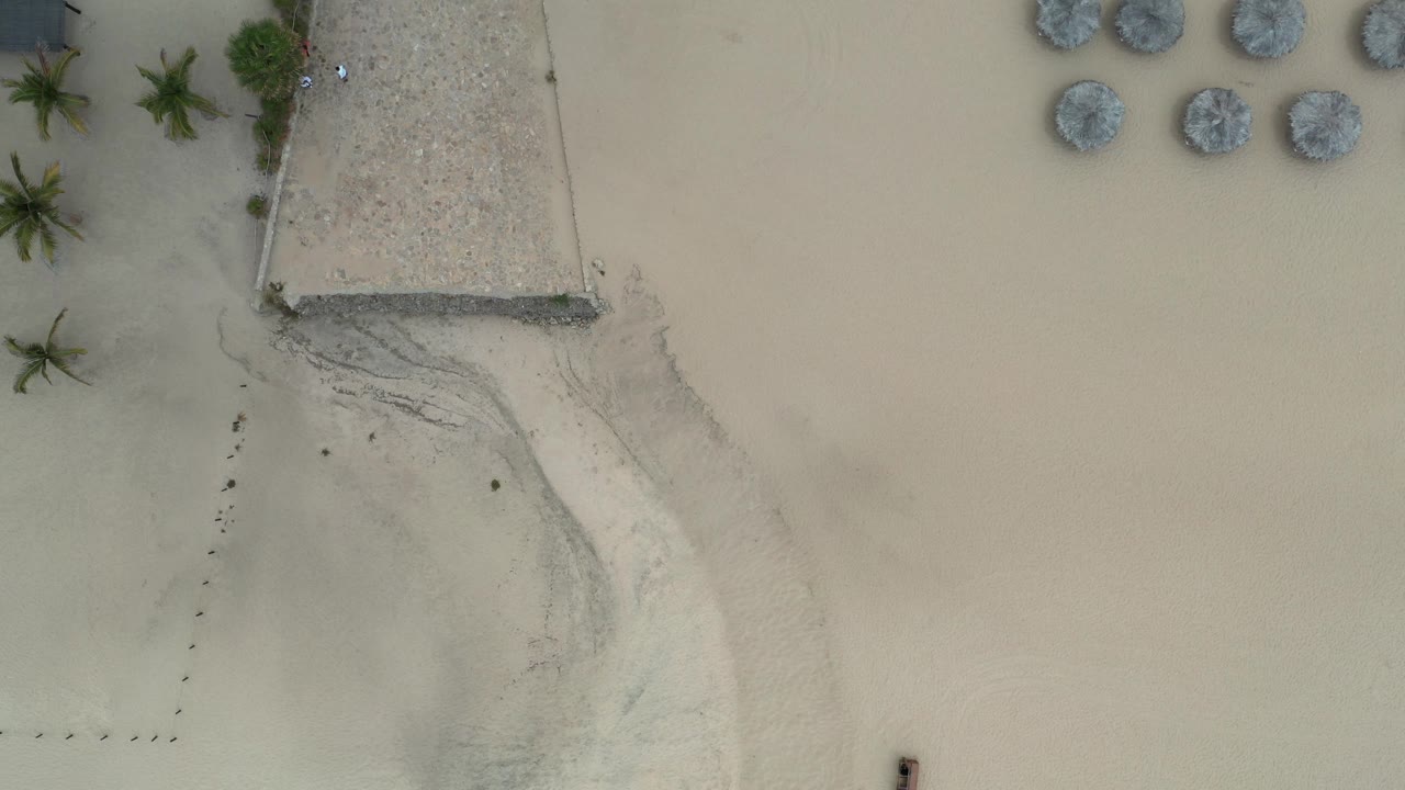 Aerial view of beach structure, palms, and shoreline sand.