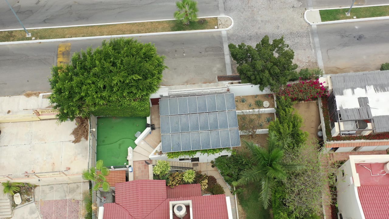 Second overhead frame in Los Cabos shows the large tree shifted near the left side, a gray roof section centered low, flowering shrubs by a wall, and no visible people.