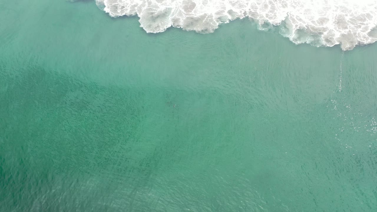 Pale green ocean water fills the frame in Los Cabos, Mexico, while a foamy wave line sits near the top and no visible people appear.
