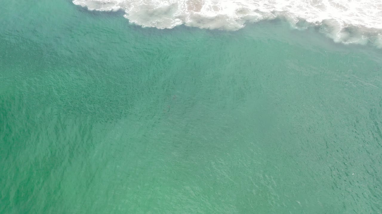 Overhead view of green ocean water in Los Cabos, Mexico, with white foamy surf touching the top edge and no visible people.