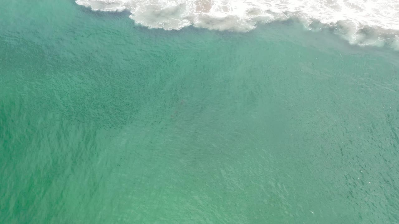 Green ocean water in Los Cabos fills the frame beneath a soft strip of white breaking surf, with no visible people.
