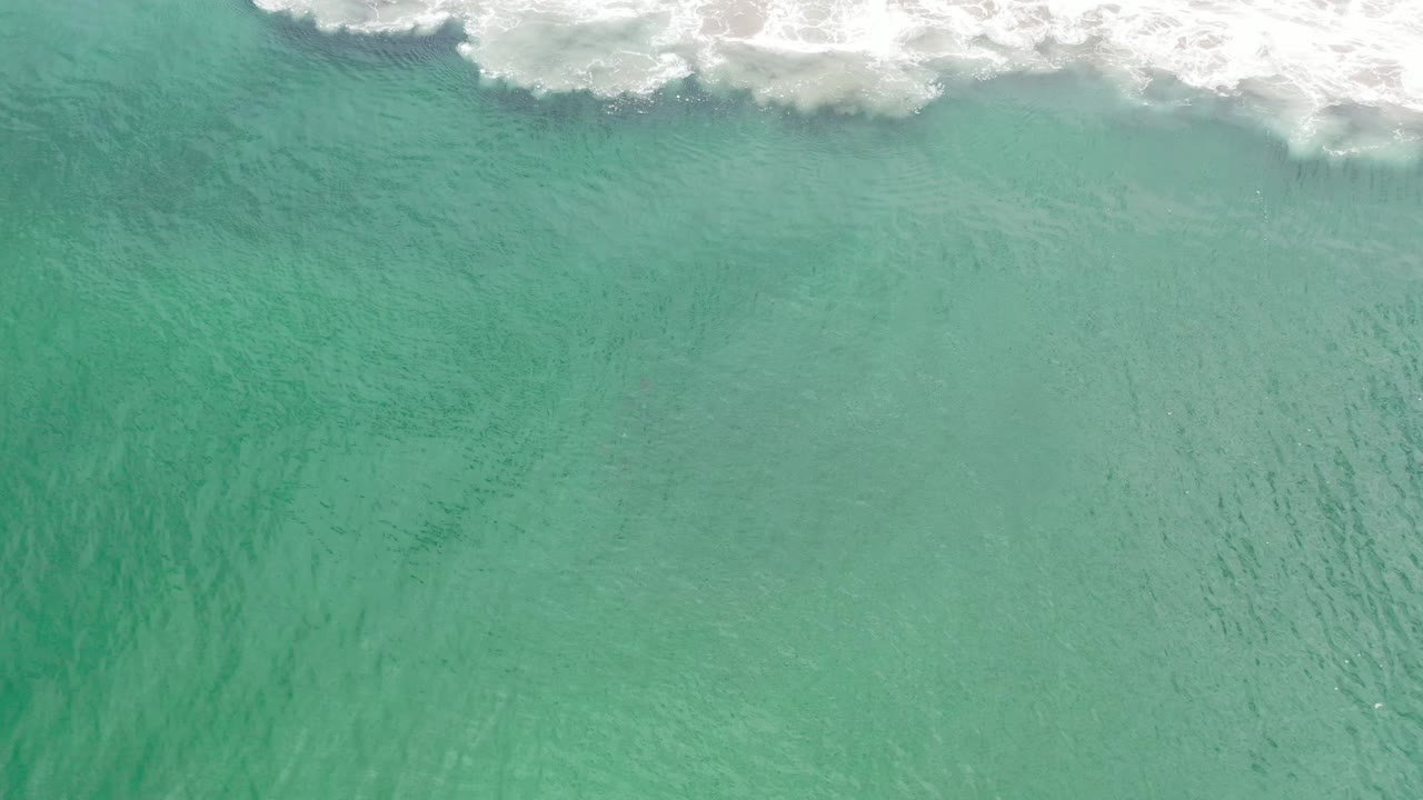 Pale green ocean water with foamy waves at the top.