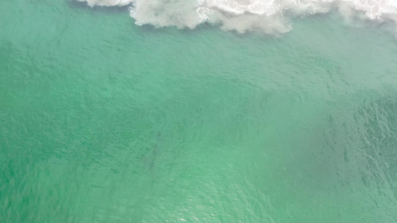Aerial-style frame of green Los Cabos ocean water with a pale band of surf near the top and no visible people.