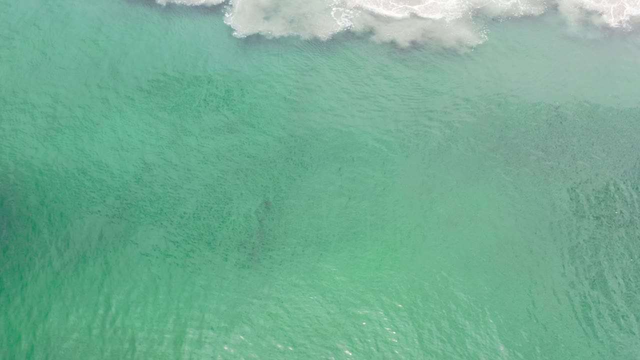 Emerald water with cloud shadow and broken white surf at the top.