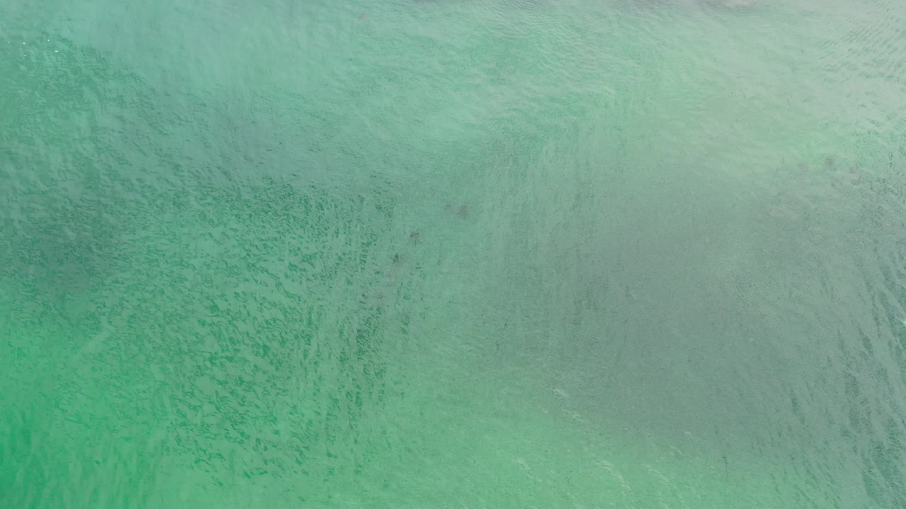 Overhead view of green ocean water in Los Cabos, Mexico, with dark underwater fish-like shapes and no visible people.