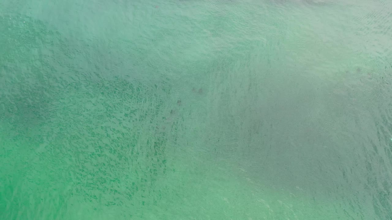 A pale green section of Los Cabos ocean shows darker submerged forms beneath soft surface texture, with no visible people.