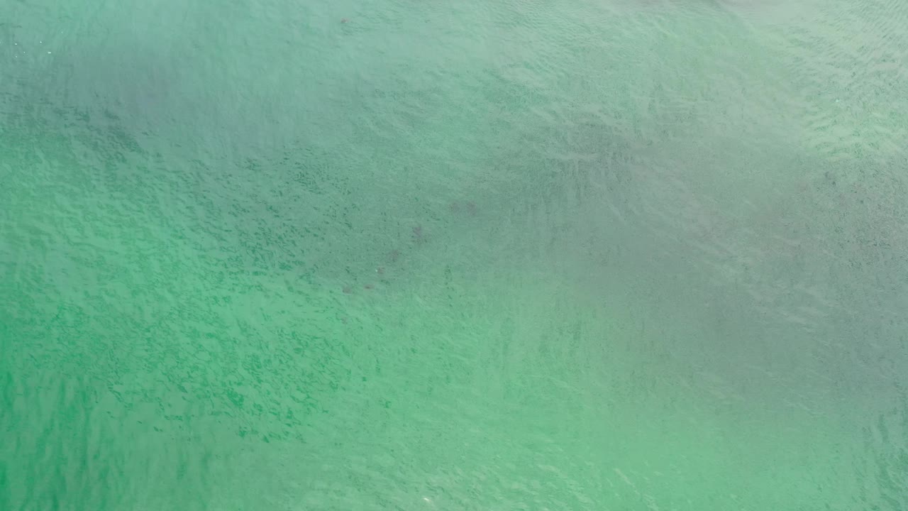 Top-down green water with faint wave streaks.