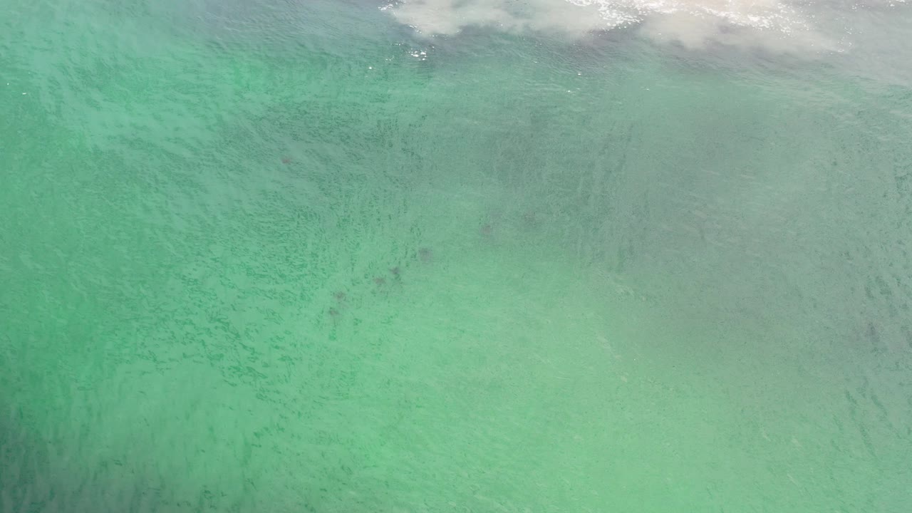 Aqua ocean water with white surf along the upper edge.