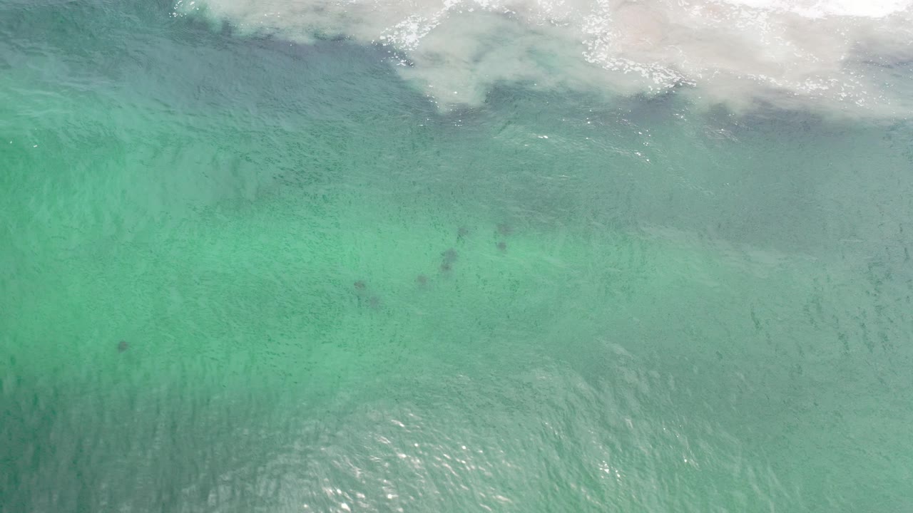 Overhead view of turquoise ocean water in Los Cabos, Mexico, with white surf brushing the upper edge and no visible people.