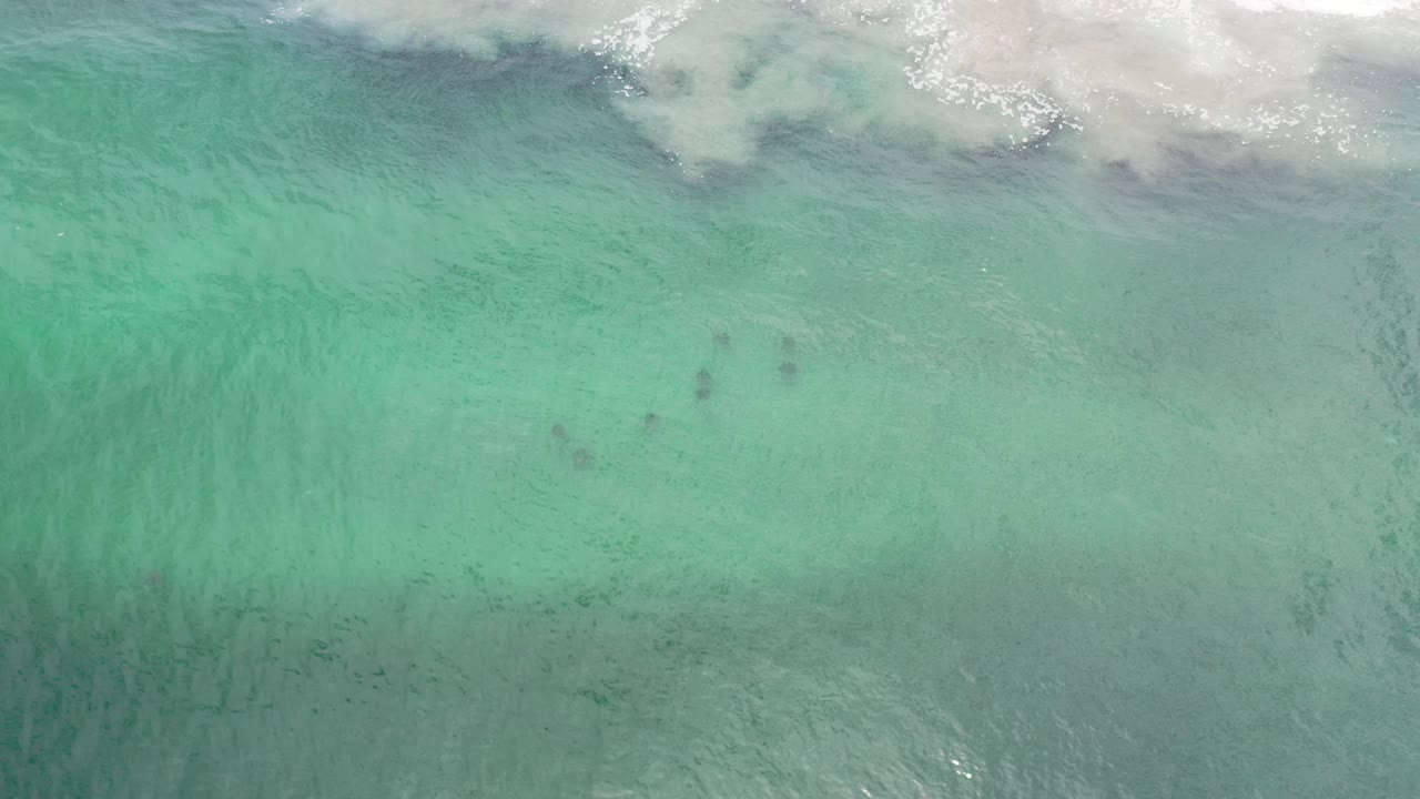 Aerial ocean surface with soft surf foam across the upper frame.