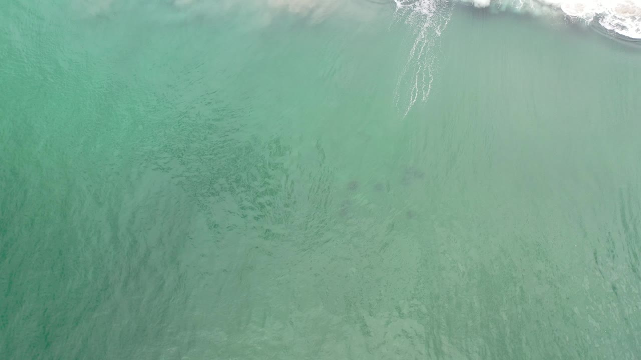 Turquoise ocean surface with darker water texture and surf at the upper edge