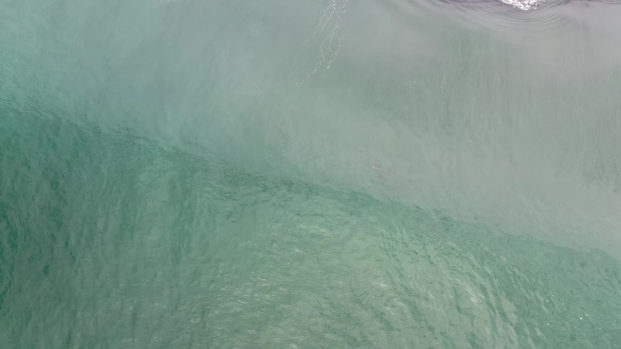 Overhead Los Cabos shoreline frame with translucent green water covering rippled sand, soft wash at the top edge, and no visible people.