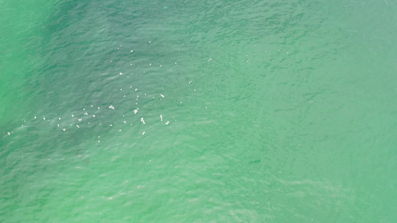 Green rippled water in Los Cabos, Mexico fills the opening frame, with small white highlights and no visible people.