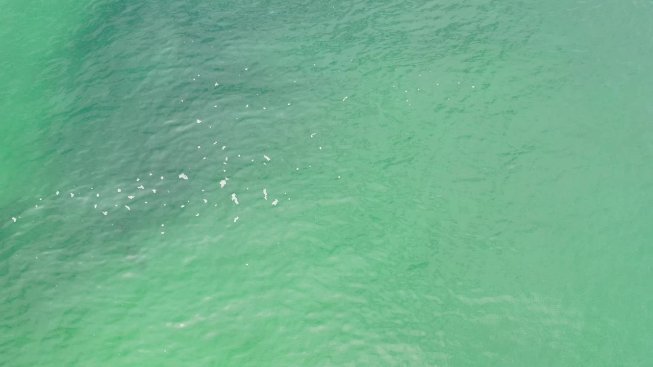 A later frame shows clear green water in Los Cabos, Mexico, with the sparkle cluster shifted across the ripples and no visible people.