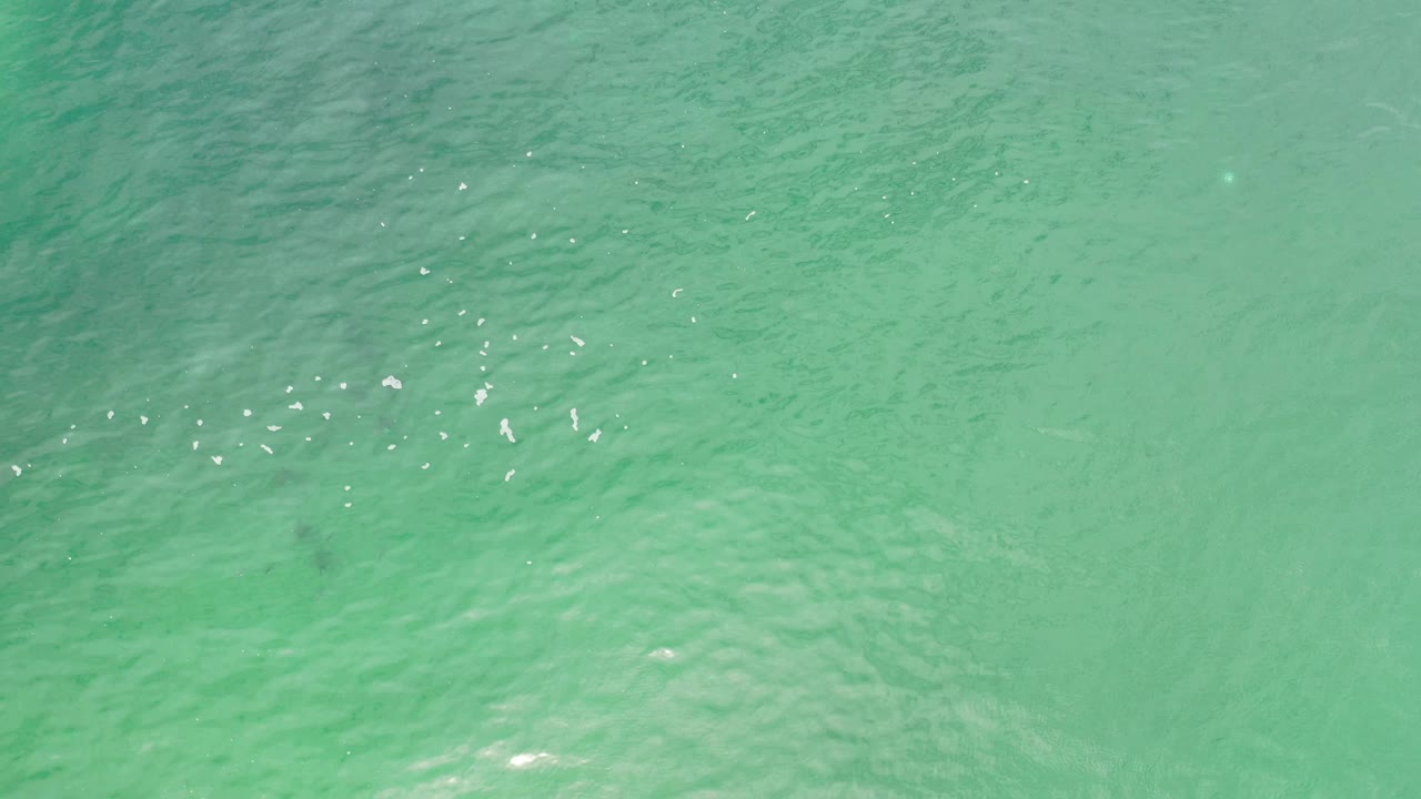 Green ocean water in Los Cabos, Mexico fills the frame, with brighter flecks concentrated near the upper middle and no visible people.