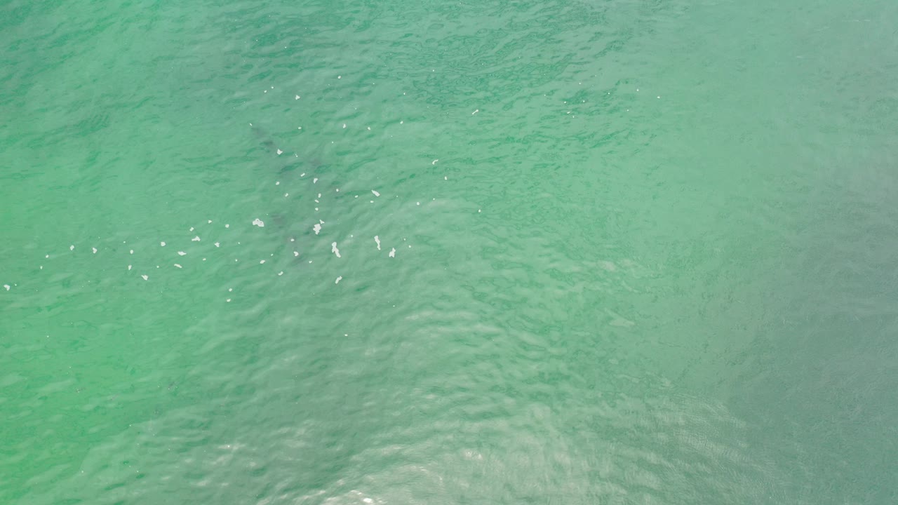 Green Los Cabos ocean water fills the frame at the start of the clip, with small bright reflections and no visible people.