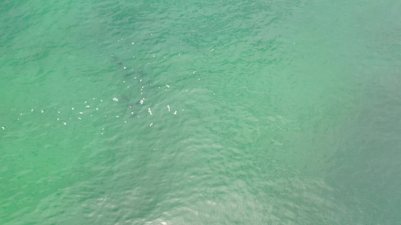 Clear green water in Los Cabos shows a slightly denser cluster of ripples near the lower center, with no visible people.