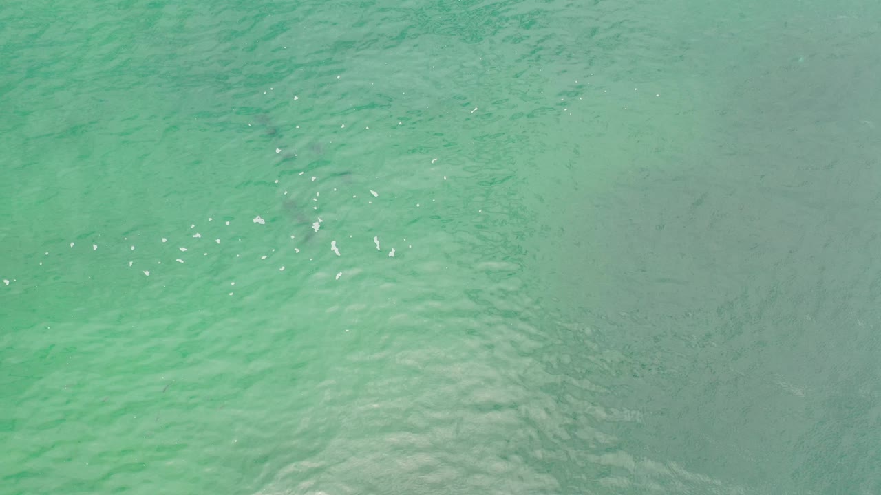 Turquoise-green water with bright specks of reflected light.
