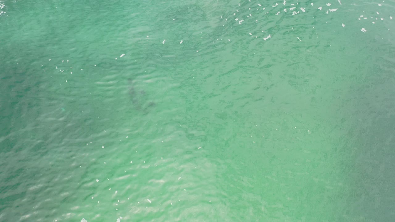 Top-down aerial view of green ocean water in Los Cabos, Mexico, with faint darker patches below the surface and no visible people.