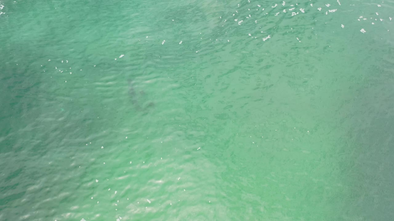 Aerial frame of green ocean water in Los Cabos, Mexico, with brighter ripple highlights near the middle and no visible people.