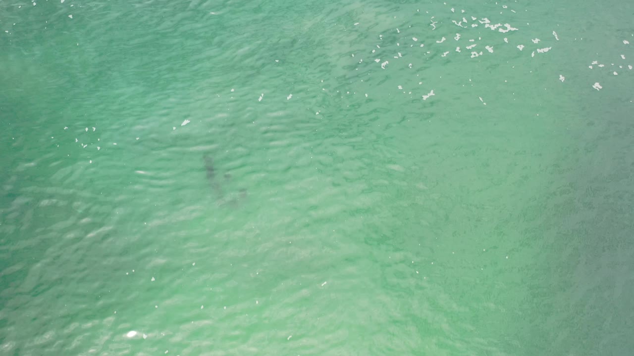 Overhead green water with clustered white sun glints