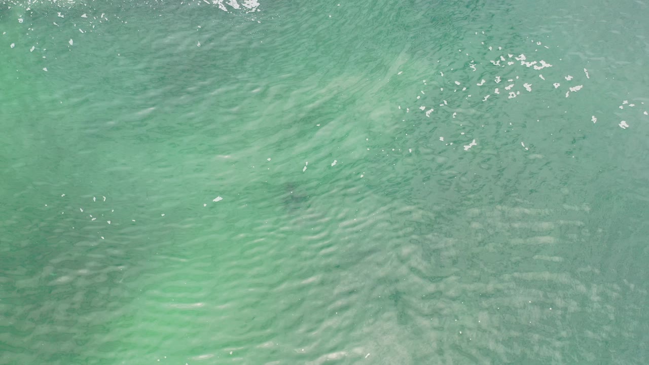 Green ocean water in Los Cabos fills the frame with faint sandy patches below the surface, scattered bright reflections, and no visible people.