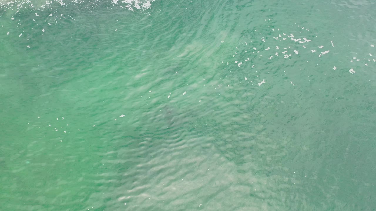 Clear green surf water with bright flecks of light.