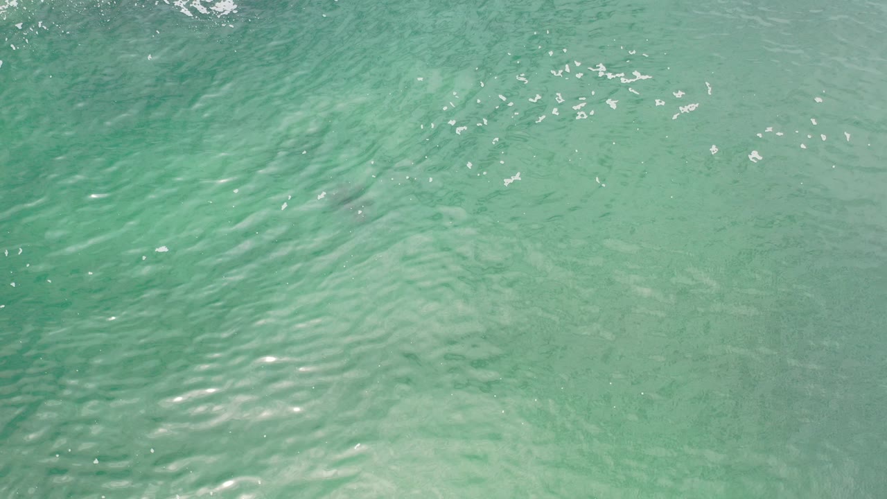 Turquoise shallow ocean water in Los Cabos fills the frame with fine ripples over pale sand and no visible people.